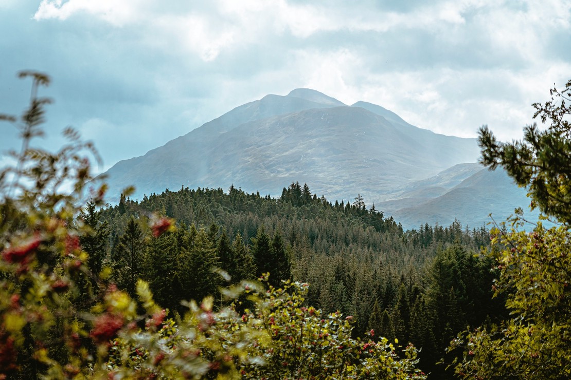 Predicting Short-Term Habitat Shifts in Mountain Bumblebees with Maxent Modelling